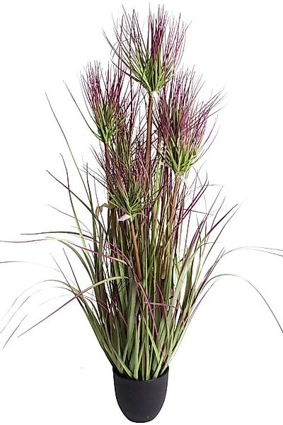 Kunstgras Zyperngrasbusch, Botanic-Haus, Höhe 95 cm günstig online kaufen