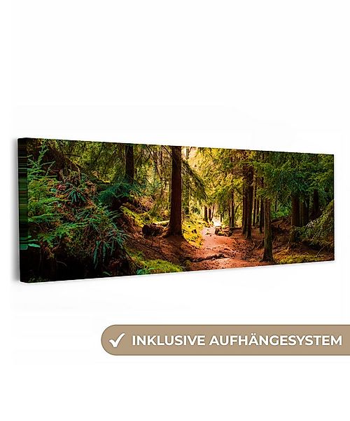 OneMillionCanvasses® Leinwandbild Panorama Wald - Weg - Bäume - Grün - Sonn günstig online kaufen