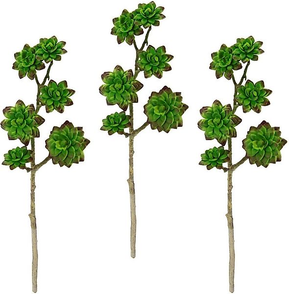 Kunstpflanze Sukkulentenzweig, I.GE.A., Höhe 45 cm, 3er Set günstig online kaufen