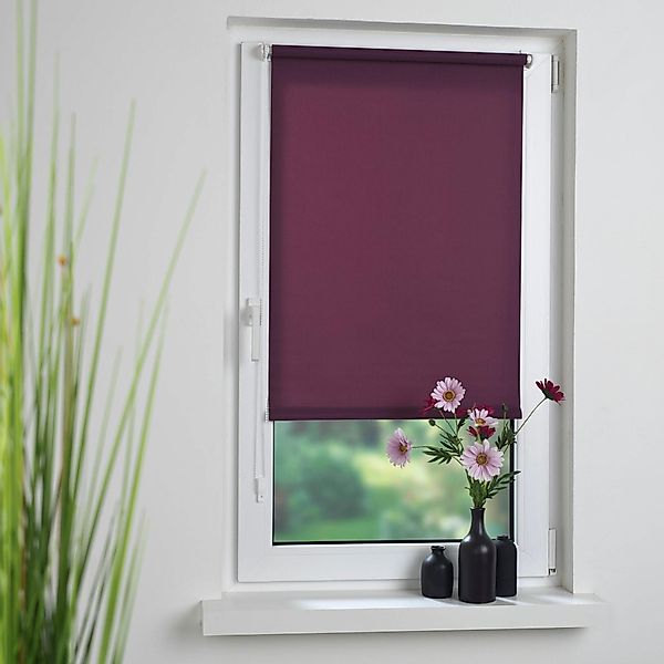Seitenzugrollo Klemmfix, Liedeco, Lichtschutz, ohne Bohren, günstig online kaufen