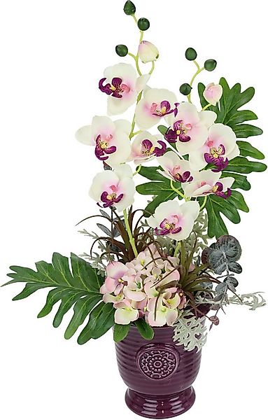 Kunstpflanze Orchidee Orchidee, I.GE.A., Höhe 50 cm günstig online kaufen