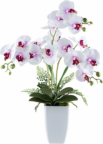 Creativ green Kunstorchidee "Orchidee Phalaenopsis", mit Farnzweigen günstig online kaufen