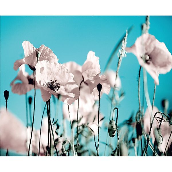 Sanders & Sanders Fototapete Blumen Blau und Rosa 360 x 270 cm 600448 günstig online kaufen