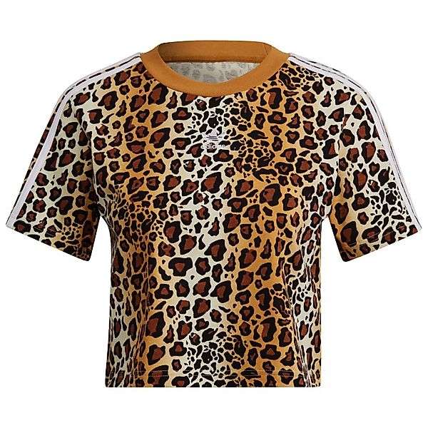Adidas Originals Crop Kurzarm T-shirt 34 Multicolor / Mesa günstig online kaufen