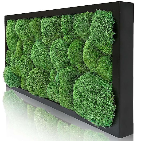 naturewalls Bild Moosbild Kugelmoos - Pflanzenbild günstig online kaufen