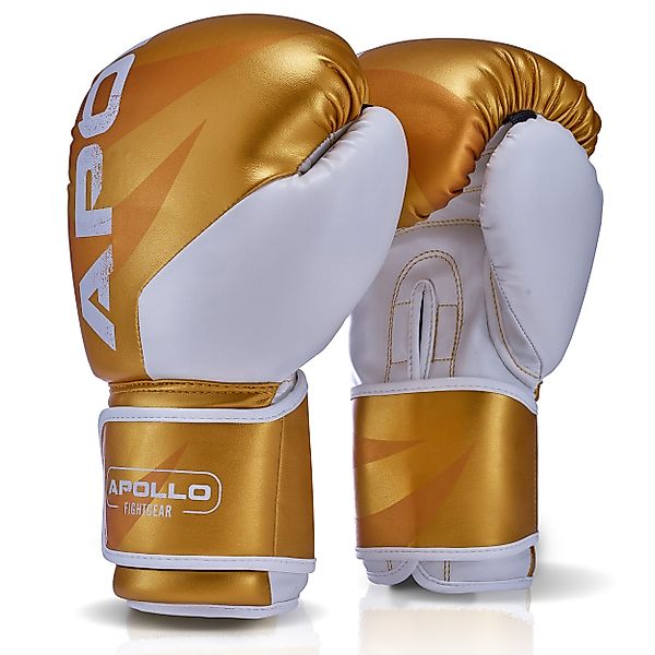 Apollo Boxhandschuhe Boxhandschuhe Männer Champion Thai günstig online kaufen