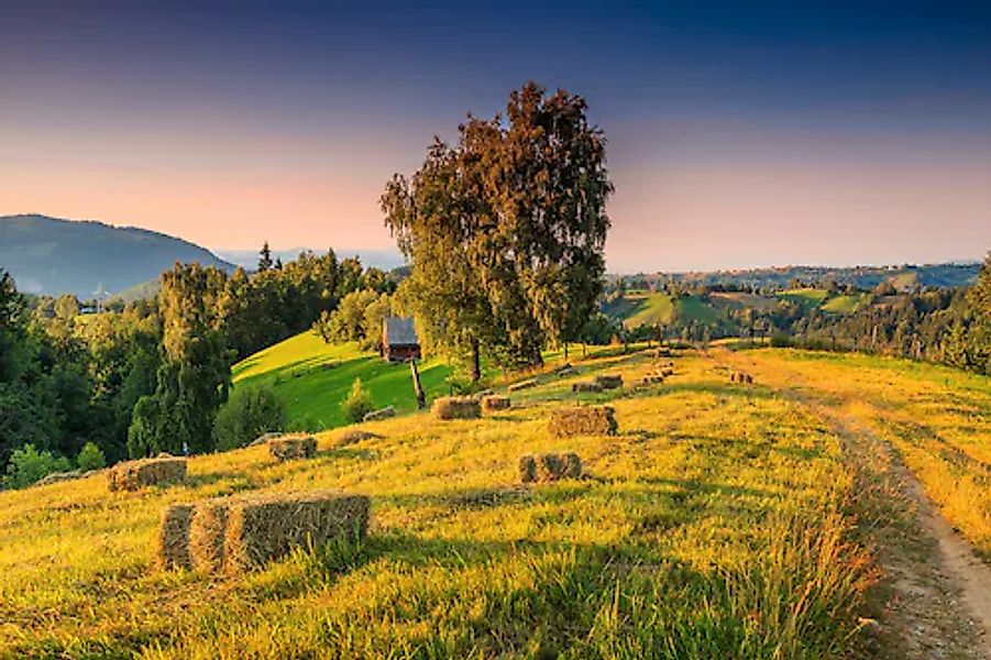 Papermoon Fototapete »ALPINE LANDSCHAFT« günstig online kaufen