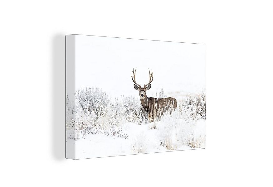 OneMillionCanvasses® Leinwandbild Hirsche - Winter - Schnee - Tiere - Jahre günstig online kaufen