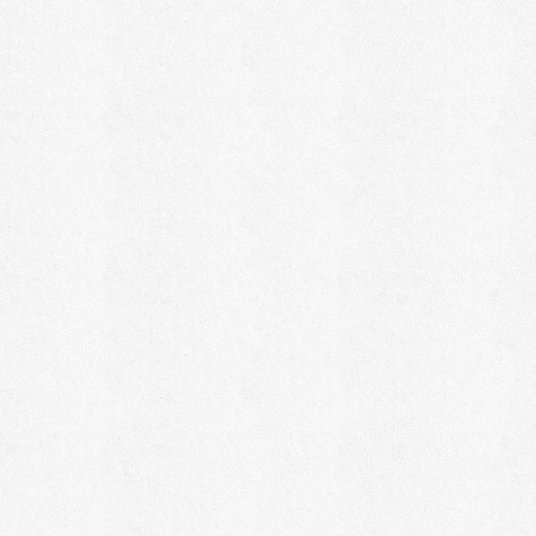 Wall Doctor Isoliertapete "Wall Doctor Renovliestapete Weiss 25mx1m (180g/m günstig online kaufen