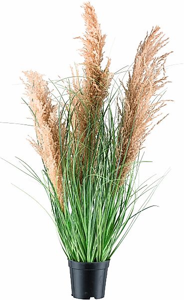 Creativ green Kunstgras "Schilfgras", mit täuschend echten Blüten günstig online kaufen