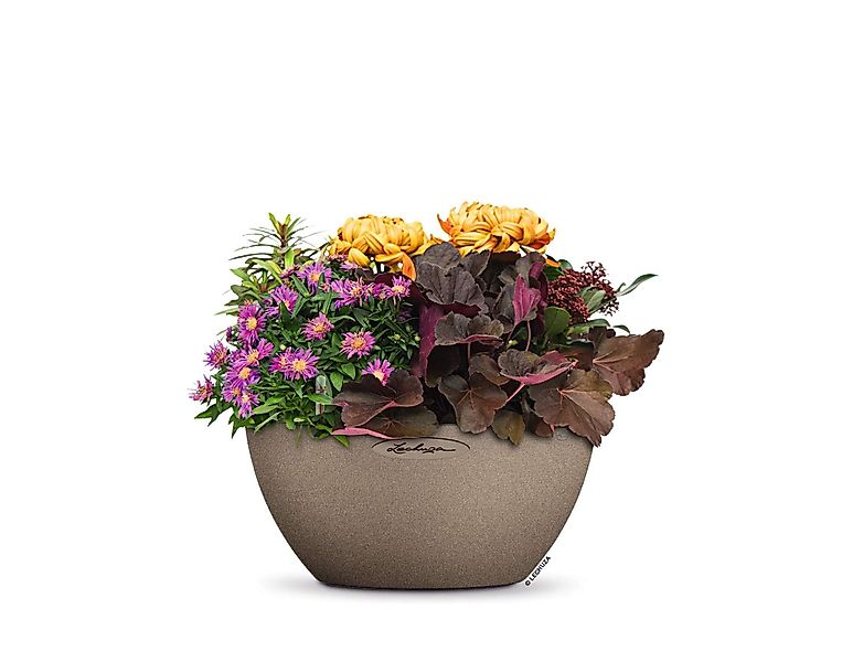 Lechuza® Blumentopf Cubeto Stone 30 - günstig online kaufen