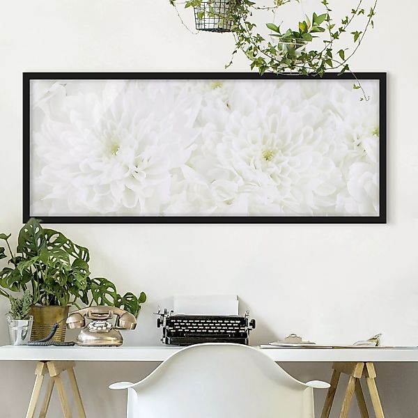 Bild mit Rahmen Blumen - Panorama Dahlien Blumenmeer weiß günstig online kaufen