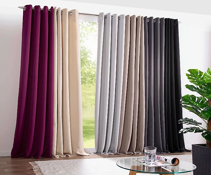 DecoHome24 Gardine Brillant, Ösen (1 St), günstig online kaufen