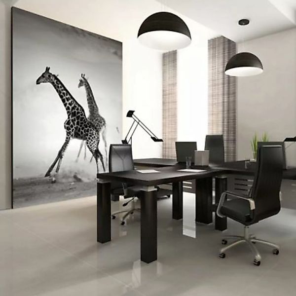 artgeist Fototapete Giraffen schwarz/weiß Gr. 200 x 154 günstig online kaufen
