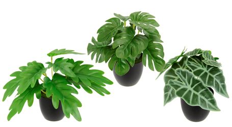 I.GE.A. Kunstpflanze "Künstliches Zimmerpflanzen-Set" Im Topf 3er Set Grünp günstig online kaufen