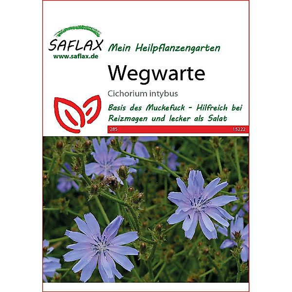 SAFLAX Blumensamen SAFLAX - Heilpflanzen - günstig online kaufen