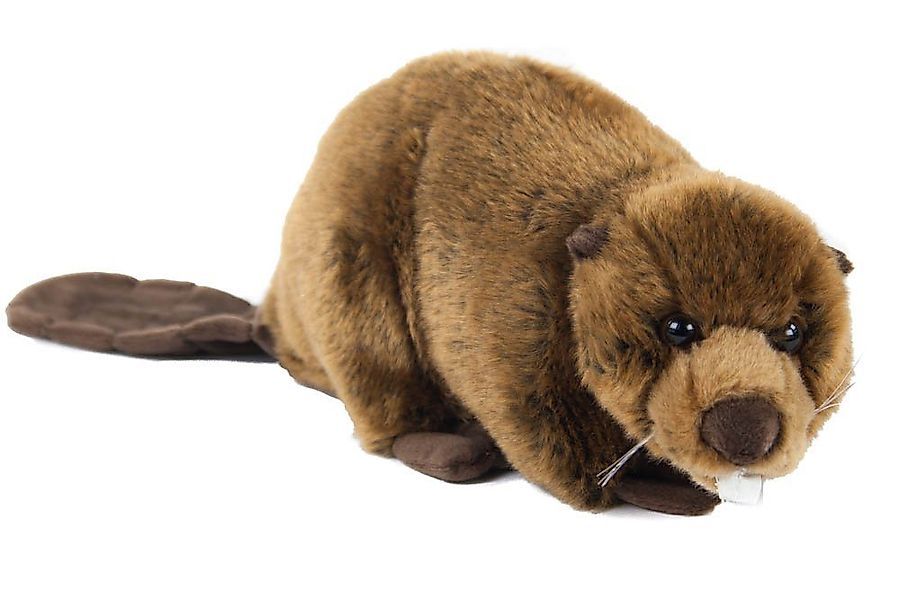 Teddys Rothenburg Kuscheltier Biber braun liegend 40 cm Plüschbiber Stoffti günstig online kaufen
