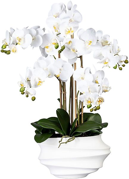 Kunstorchidee Phalaenopsis Orchidee Phalaenopsis, Creativ green, günstig online kaufen