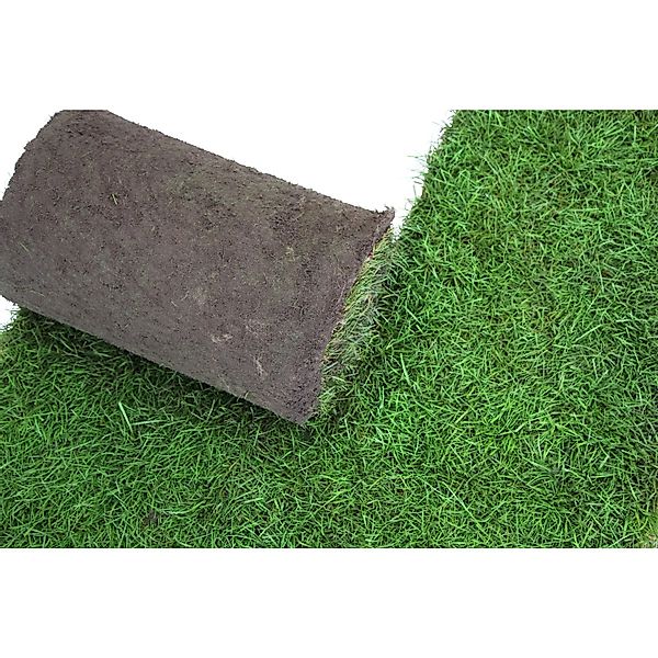 Sport- & Spiel-Rollrasen Bestellmenge 250 m² günstig online kaufen