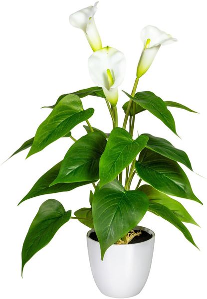 my home Kunstpflanze "Lesum" im Topf günstig online kaufen