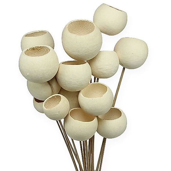Trockenblume Elegante Bell Cup Dekoration für günstig online kaufen