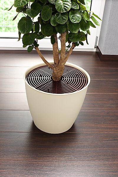 Ruco Universalschutzgitter, (Set, 5 St.), zuschneidbar, Kunststoff, für Pfl günstig online kaufen