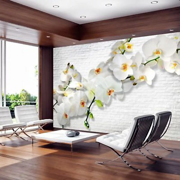 artgeist Fototapete The Urban Orchid mehrfarbig Gr. 150 x 105 günstig online kaufen