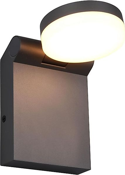 lightling LED Außen-Wandleuchte Alena, spritzwasser- und günstig online kaufen