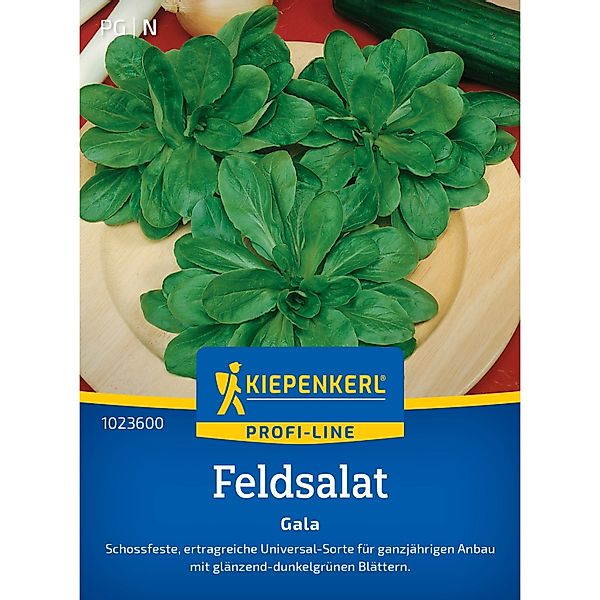 Kiepenkerl Feldsalat Gala günstig online kaufen