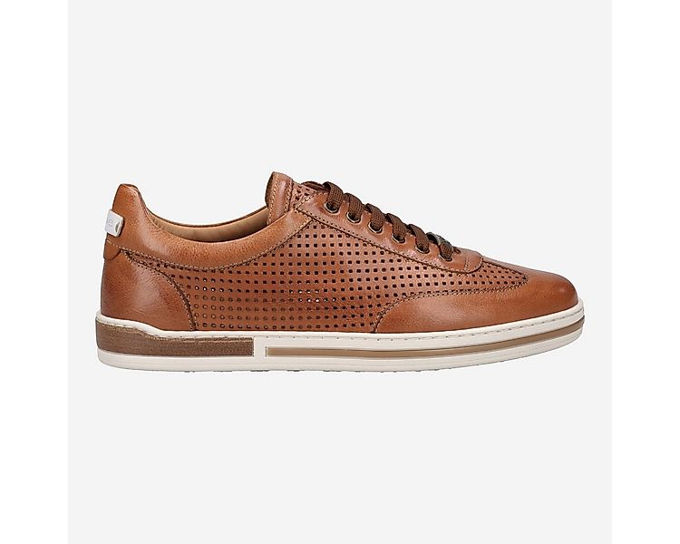 Galizio Torresi Galizio Torresi 411050 V.70468, Sneaker, Braun, Herren Snea günstig online kaufen