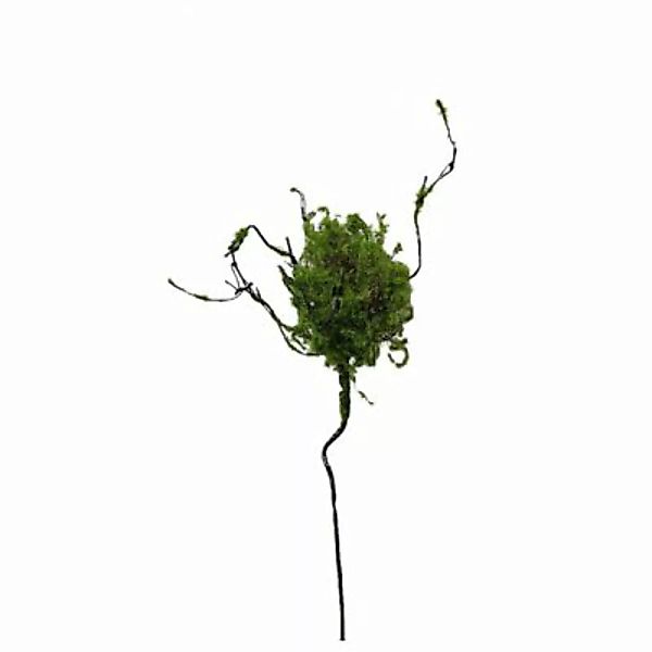 HTI-Living Zweig mit Vogelnest Kunstpflanze Flora grün günstig online kaufen