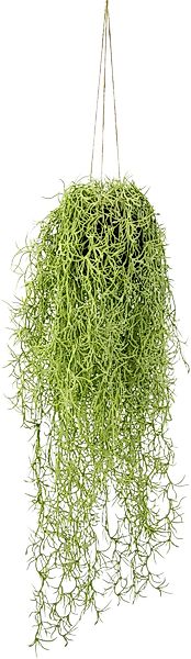 Kunstpflanze Mooshänger, I.GE.A., Höhe 70 cm, günstig online kaufen