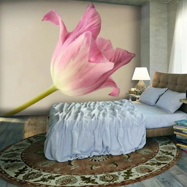 artgeist Fototapete Pink tulip mehrfarbig Gr. 300 x 231 günstig online kaufen