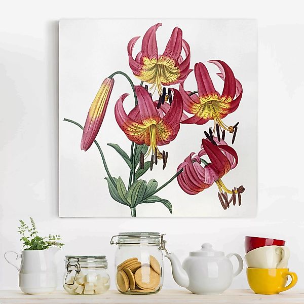 Leinwandbild Blumen - Quadrat Pierre Joseph Redouté - Türkenbundlilie günstig online kaufen