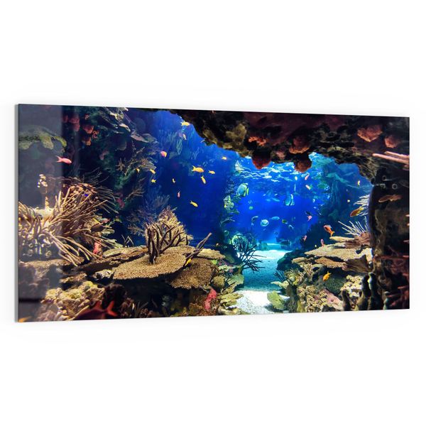 DEQORI Glasbild 'Exotisches Aquarium', 'Exotisches Aquarium', günstig online kaufen
