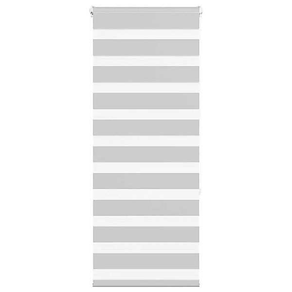 vidaXL Doppelrollo Hellgrau 55x150 cm Stoffbreite 50,9 cm Polyester 4014434 günstig online kaufen