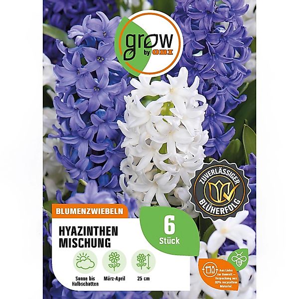 GROW by OBI Hyazinthen Mischung 6 Stück Hyacinthus Mix günstig online kaufen