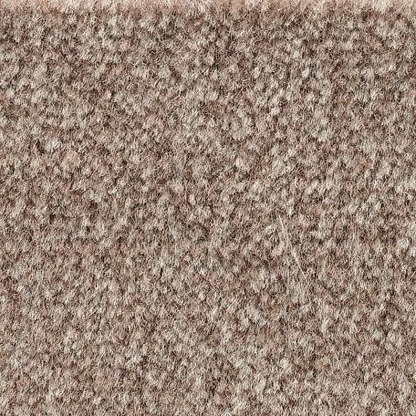 Bodenmeister Teppichboden »Jupiter, Velours - meliert, Made in Belgium«, re günstig online kaufen