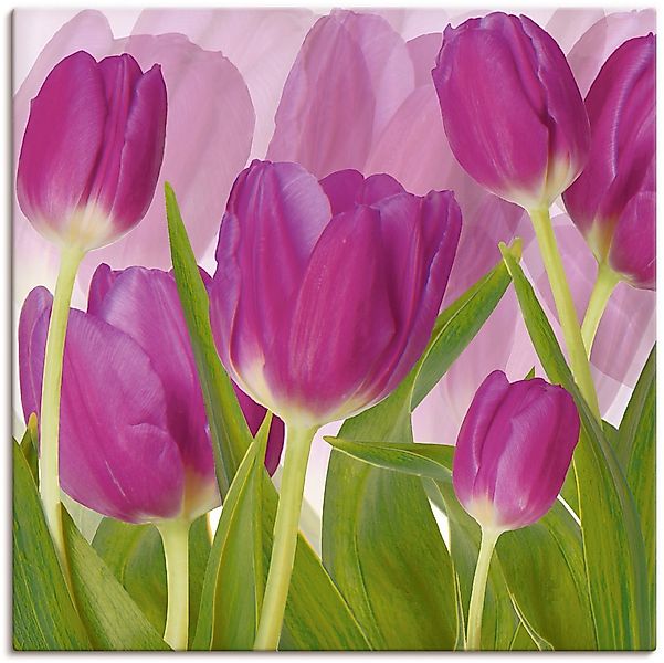 Artland Wandbild "Tulpenfeld lila" Blumen 1 Stk. tlg. als Alubild, Leinwand günstig online kaufen