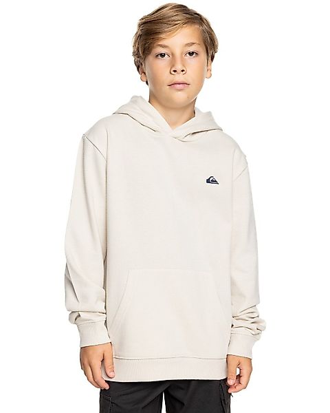 Quiksilver Kapuzensweatshirt Basic günstig online kaufen