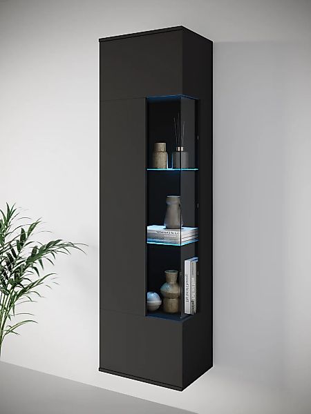 INOSIGN Vitrine "Kenia, stehend und hängend, Türanschlag wechselbar" 1 Stk. günstig online kaufen