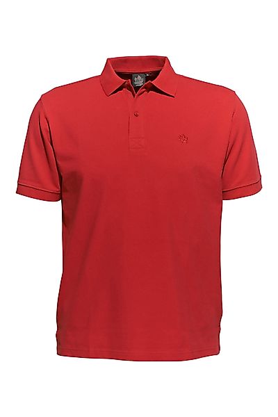 AHORN SPORTSWEAR Poloshirt, in klassischem Design günstig online kaufen