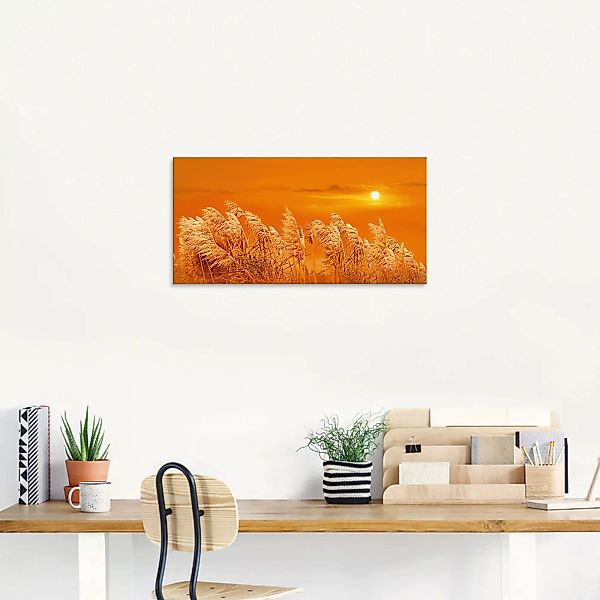 Artland Glasbild "Im Wind", Gräser, (1 St.) günstig online kaufen
