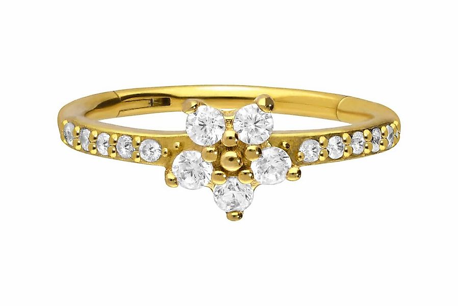 PIERCINGLINE Nasenpiercing Chirurgenstahl Segmentring Clicker EINGEFASSTE K günstig online kaufen