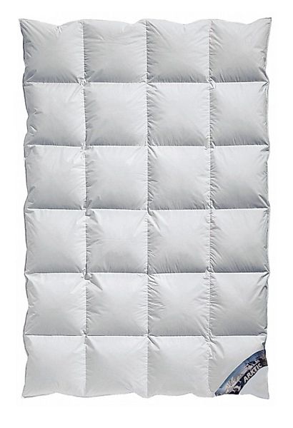 Arktic Daunenbettdecke Kassetten Daunendecke Winterdecke extra-warm günstig online kaufen