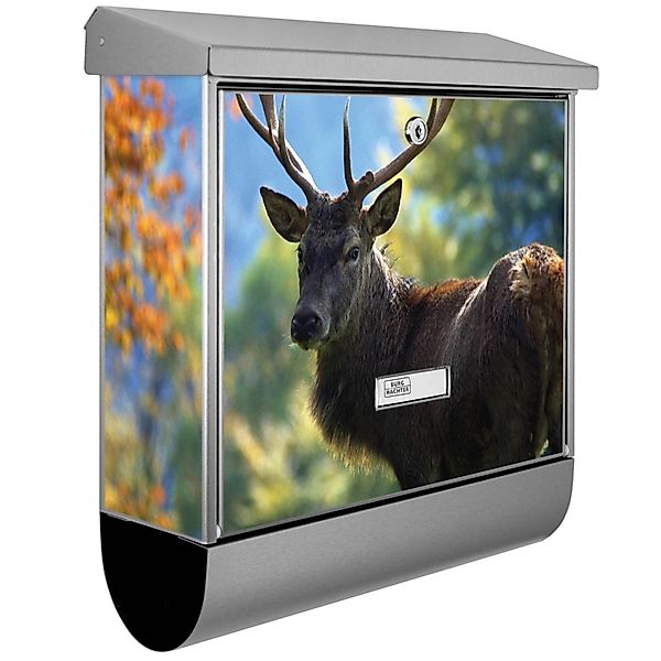 Banjado Briefkasten Edelstahl 38x39x12cm Mit Zeitungsfach Inkl. Montagemate günstig online kaufen