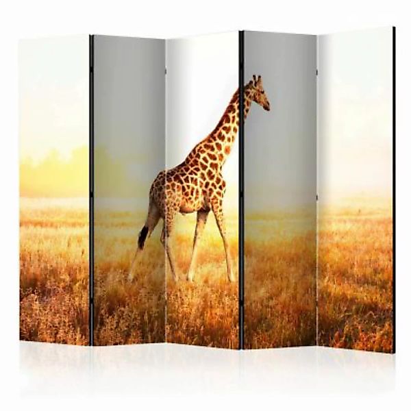artgeist Paravent giraffe - walk II [Room Dividers] mehrfarbig Gr. 225 x 17 günstig online kaufen