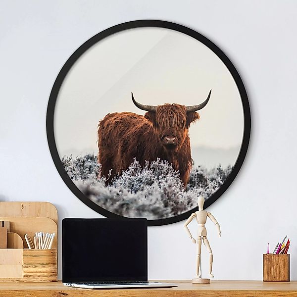 Rundes Gerahmtes Bild Bison in den Highlands günstig online kaufen