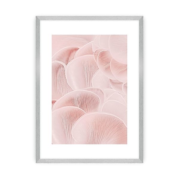 Poster Pastel Pink I, 21 x 30 cm , Ramka: Srebrna günstig online kaufen