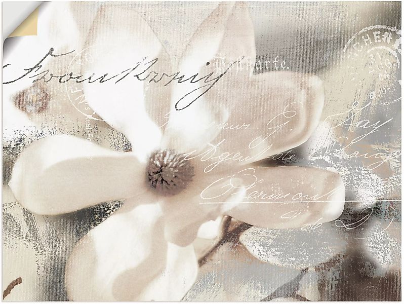Artland Wandbild »Magnolie_Detail«, Blumenbilder, (1 St.) günstig online kaufen